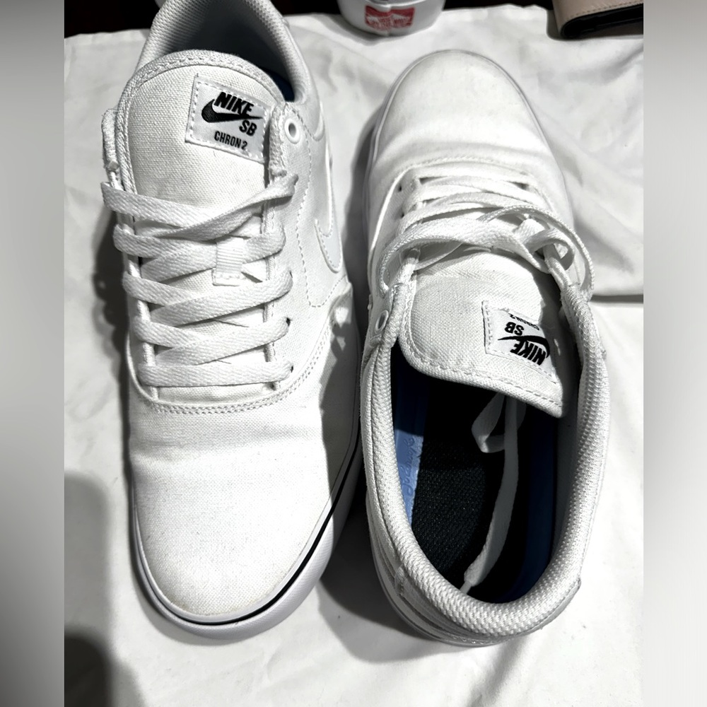 Nike SB sneakers